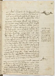 Vogelvluchtcode, c. 1505-06, blad 13 recto